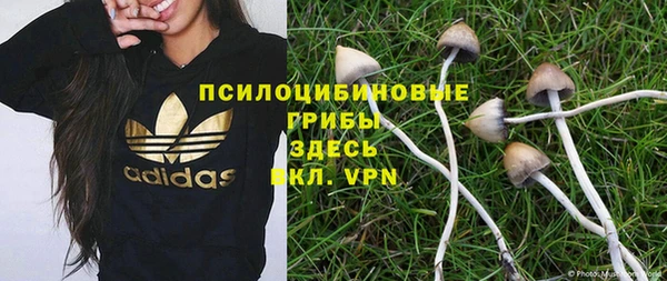 2c-b Бугульма